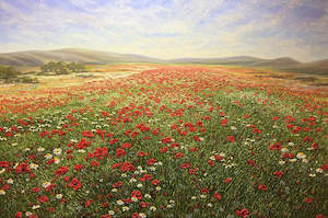 Raquel Clarke: A Place to Rest