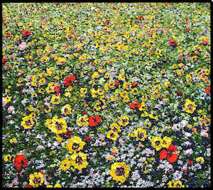 Peter Hackett: The Honeymooners’ Bed 5