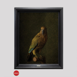 Jae Frew: Kea No.1 - Edition 2/5