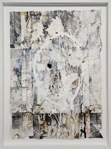 James Robinson: Immune Response