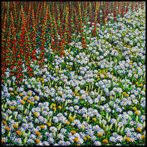 Rachael Errington: Foxgloves Marigolds and Oxeye Daisies