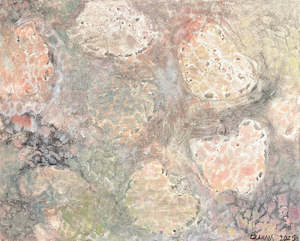 Charlotte Graham: He kāwai Whakaata Reflecting hue lines