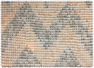 Charlotte Graham: Aramoana