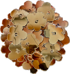 Sally Bulling: Baby Face Flower Bed: Whisky Brown