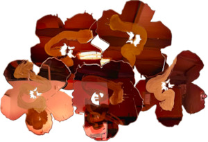 Flower Fields: Burnt Sienna, Sangria and Bordeaux