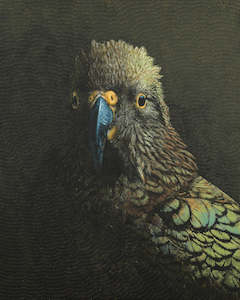 Kea - The Regal