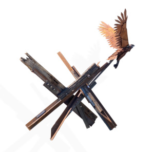 Release (Hawk in Flight)