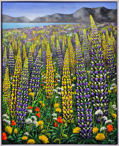 Lake Tekapo Lupins