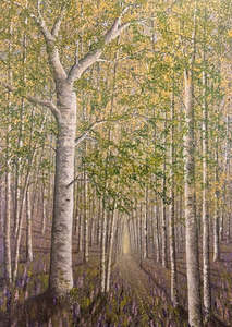 Old Birch with Lupins II