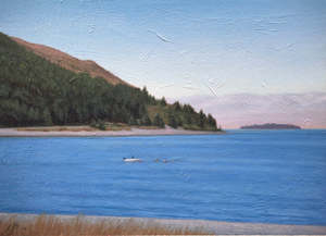 Summer on Lake Tekapo