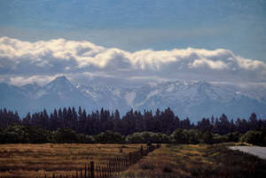 Isaac Petersen: Heading South