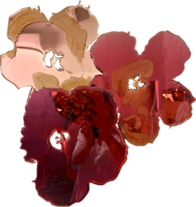 Flowers From Andy: in Soft Rosewater, Sugar Bloom & Velvet Berry