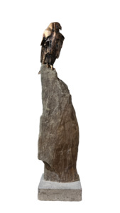 Simon Max Bannister: Falcon Study - Anticipation