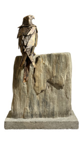 Falcon Study - Courage