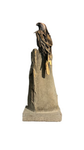 Falcon Study - Vigilance