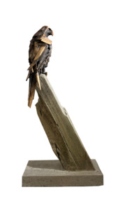 Falcon Study - Timing