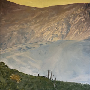 Rain: Cardrona Sunset