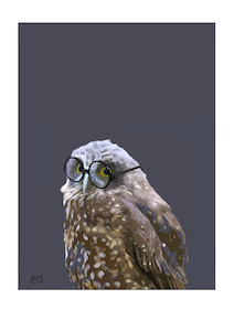 All: MOREPORK SPECS