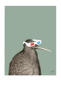 All: 3D KIWI