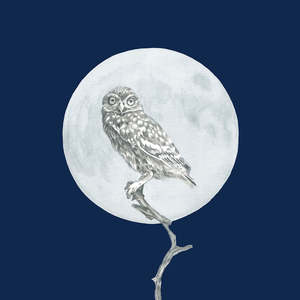 Moon and the Morepork