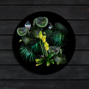 Outdoor Wall Art: Onewhero Visitors