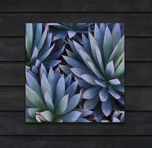 Botanical Agave