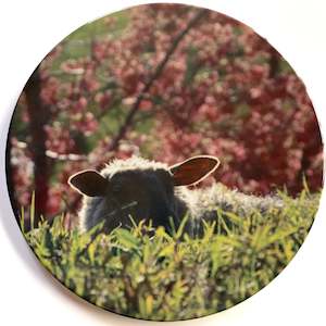 Ceramic Coaster Single - Sheep in Blossoms