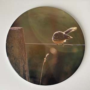 Ceramic Art: Ceramic Coaster Single - Bird On A Wire (Circular)