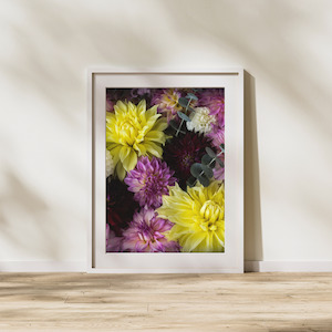 Art Prints: Art Print - Dahlia Delight