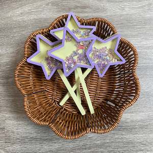 Shaker Wand - Star - Well Woman Fundraiser