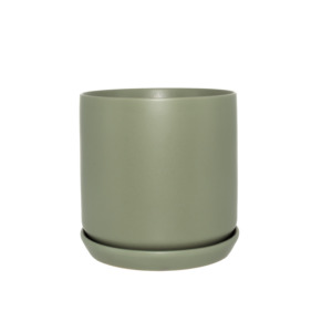 Gifts Under 50: Oslo Planter Eucalypt Large
