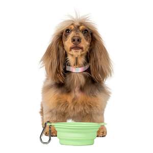 Pet: Collapsible Dog Water Bowl