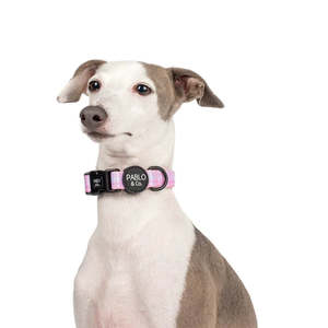 Pet: Pink Houndstooth Collar