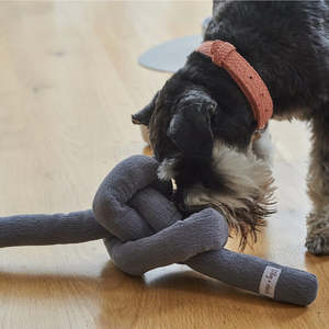 Pet: Knot Toy