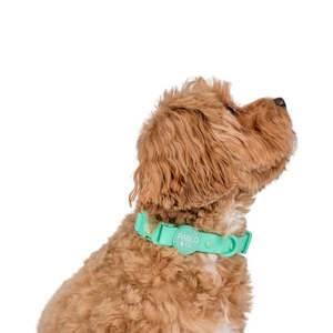 Pet: Peppermint Waterproof Collar