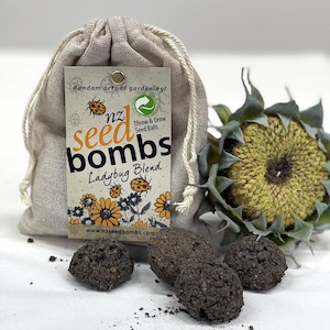 Under 50: NZ Seed Bombs Ladybug Blend