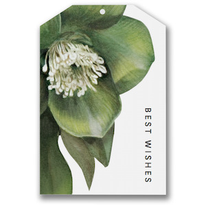 Gift Tag - Best Wishes