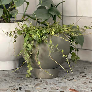 Planters: Orbit Pot Jade