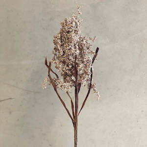 Pillowcases: Rogue Seedling Spray Brown