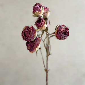 Pillowcases: Dried Look Rosebud Spray Dark Red