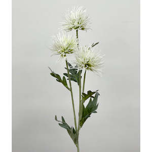 Homewares Living: Alpine Flower Cream