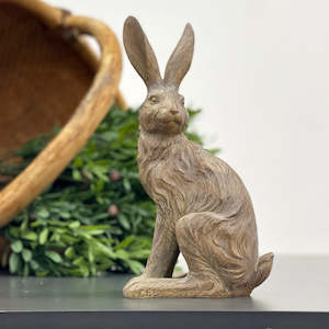 Walnut Country Hare Junior Standing