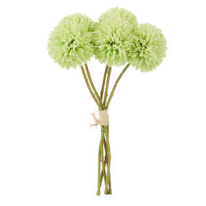 Kiku Bunch Green