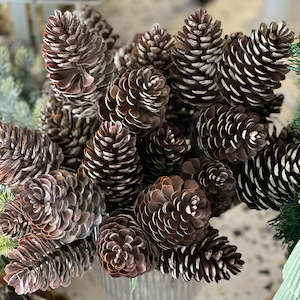 Christmas: Pinecone Pick