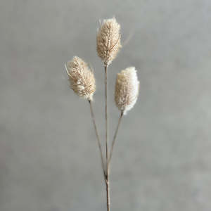 Room Decor: Bunny Tail Pick