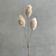 Bunny Tail Pick