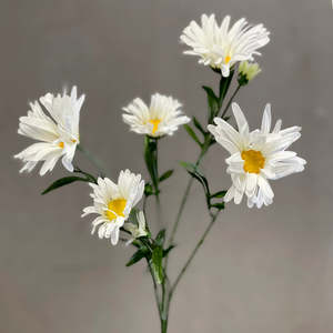 Pillowcases: Shasta Daisy Spray White