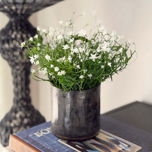 Homewares Living: Babies Breath Bush Potted