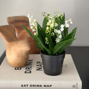 Homewares Living: Lilly of the Valley Potted White