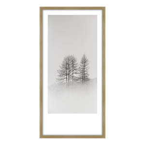 Solitude I